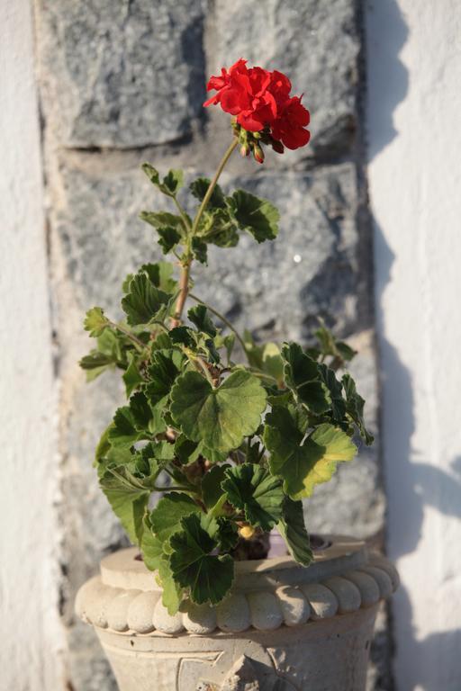 Il Forno Dal 1922 Bed & Breakfast Bene Vagienna Exterior photo